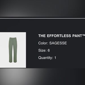 Aritzia Effortless Pant in Sagesee